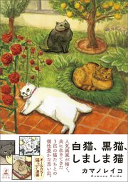白猫、黒猫、しましま猫