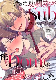 拾った幼馴染がSubだったんですが、俺が襲われました。 表紙