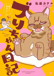 ブリちゃん日記 猫なら産みたい