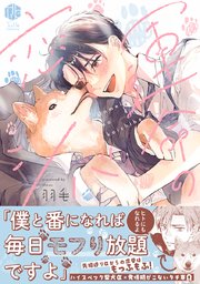 運命の恋シバ