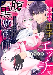 憧れの王子は、エッチな腹黒魔術師でした～閨指導係なのに、彼のミダラな魔法にかないません！～(10)