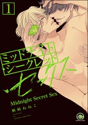 ミッドナイト・シークレット・セックス（分冊版）