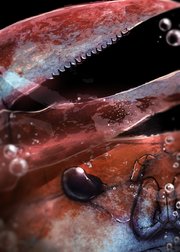 夫の島を燃やしたい【フルカラー】【タテヨミ】(28)