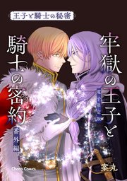「牢獄の王子と騎士の密約」番外編『王子と騎士の秘密』