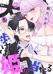 犬も歩けば姫に当たる 2巻