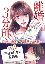 離婚３分前 ～サレ妻たちの最後の反撃～ 表紙