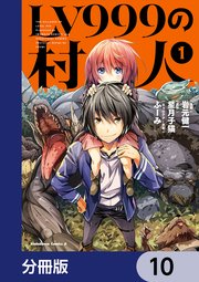 LV999の村人【分冊版】　10