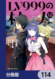 LV999の村人【分冊版】　114