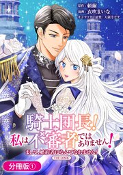 騎士団長！ 私は不審者ではありません！ まして、婚約者になんてなれません！ THE COMIC