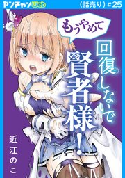 もうやめて回復しないで賢者様！(話売り)