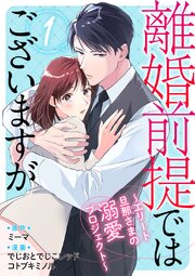 離婚前提ではございますが～エリート旦那さまの溺愛プロジェクト～ 表紙