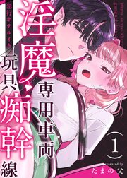 淫魔専用車両 玩具痴幹線 ～急行ホテルイき～