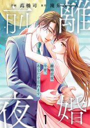 comic Berry’s離婚前夜～今宵、あなたを忘れます～ 表紙