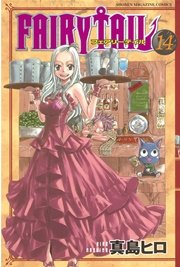 FAIRY TAIL（14）