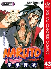 NARUTO―ナルト― カラー版 43