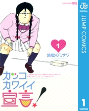 カッコカワイイ宣言！