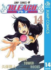 BLEACH モノクロ版 14