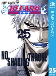 BLEACH モノクロ版 25