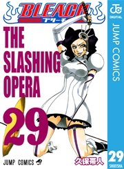 BLEACH モノクロ版 29