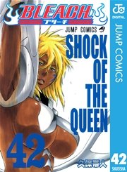 BLEACH モノクロ版 42