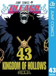 BLEACH モノクロ版 43
