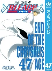 BLEACH モノクロ版 47