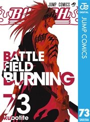 BLEACH モノクロ版 73