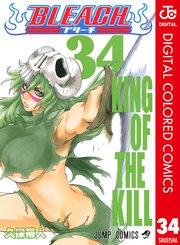 BLEACH カラー版 34