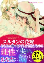 異国で見つけた恋 Ⅰ スルタンの花嫁