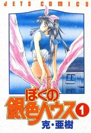 ぼくの銀色ハウス