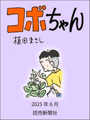 コボちゃん 2025年6月