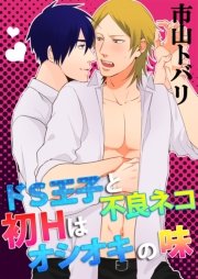 ドS王子と不良ネコ 初Hはオシオキの味