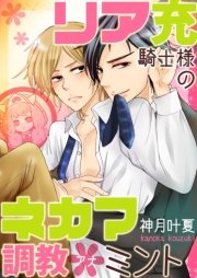 リア充騎士様のネカマ調教＊ミント