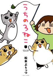 うちの3ねこ