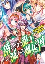 落ちてきた龍王と滅びゆく魔女の国 表紙