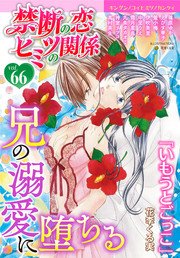 禁断の恋 ヒミツの関係 vol.66