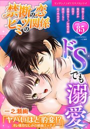 禁断の恋 ヒミツの関係 vol.85