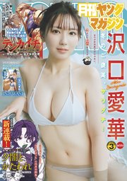 月刊ヤングマガジン 2026年No.3 [2026年2月19日発売]