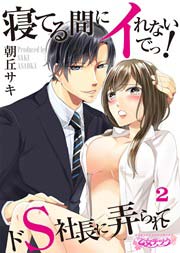 寝てる間にイれないでっ！～ドS社長に弄られて～ 2巻